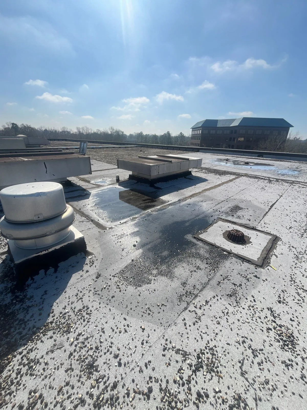 Ponding Water Roof Repair in Tuscaloosa, AL